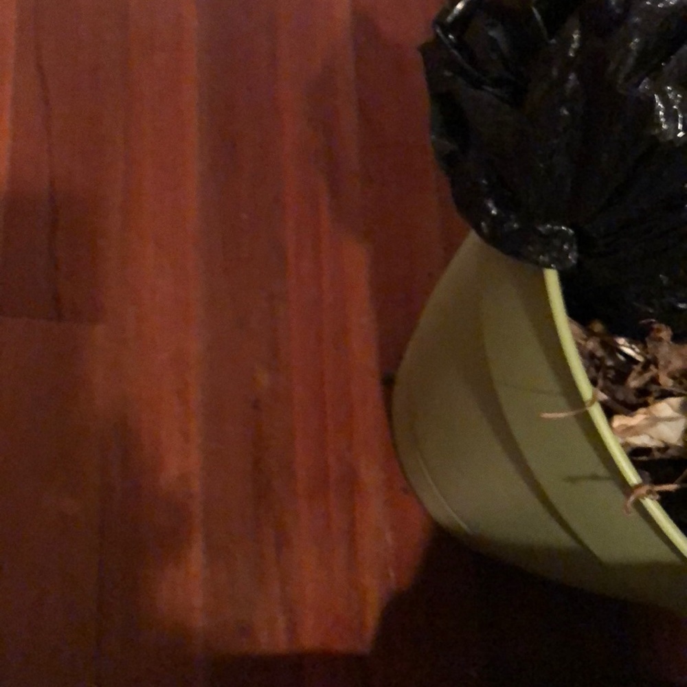 Meet your Posher, Nadya